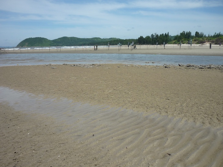 Ngoc V0ng Island