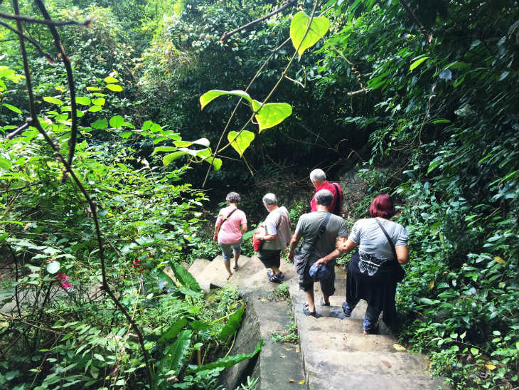 Explore Cat Ba National Park