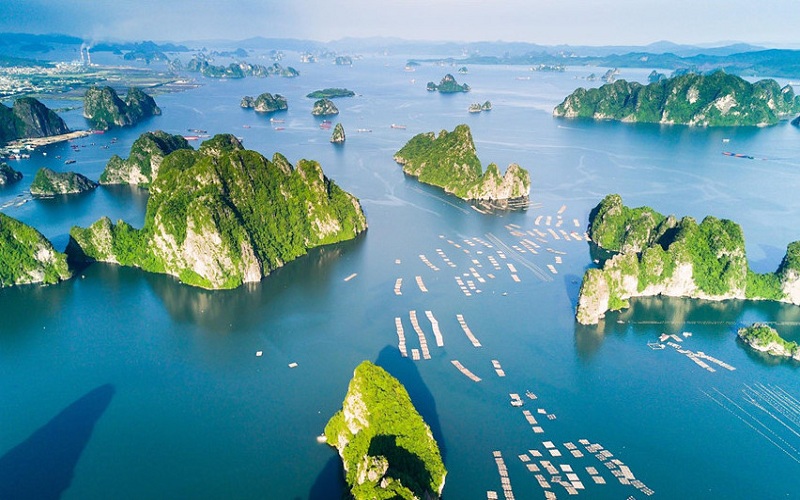 Halong Bay vs Lan Ha Bay: Which Cruise Experience Is Right for You?